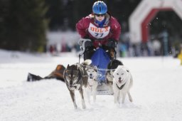 Lenzerheide 2013